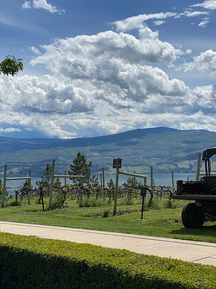 The Terrace Tractor and View
