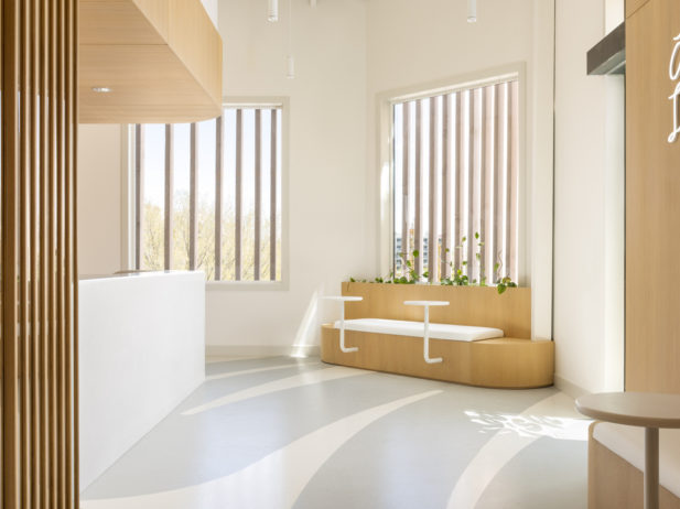 Interior wood and white dental clinic