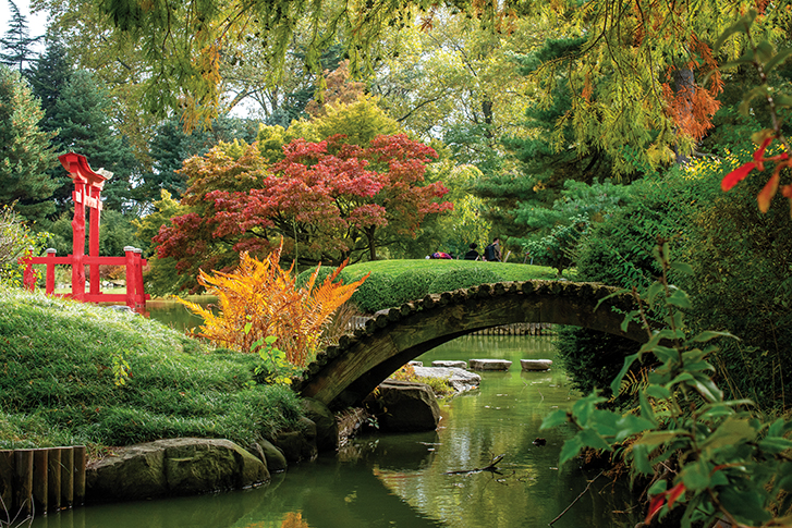 The serene Brooklyn Botanic Garden