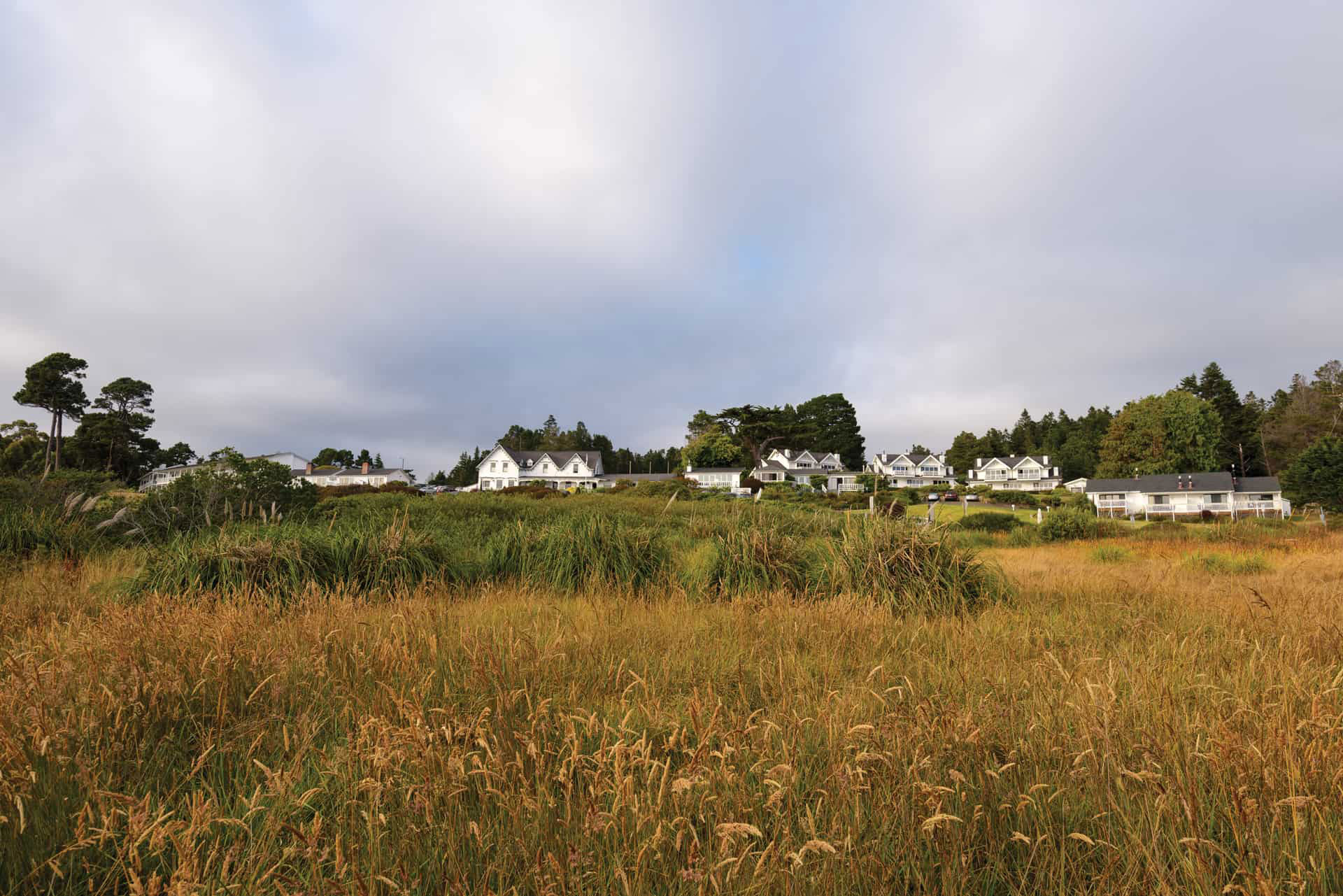 48 Hours in Mendocino Western Living Magazine