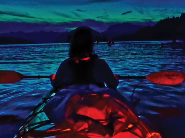 Stylized woman on a kayak from behind, on the water at night.