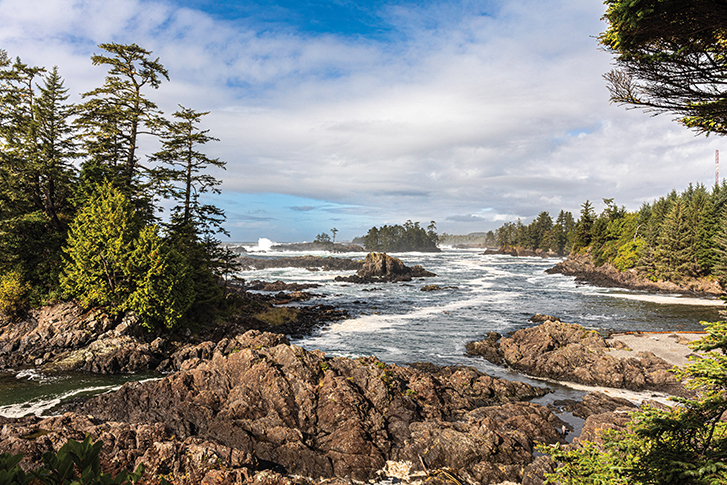 The Wild Pacific trail, Ucluelet’s famous 9km trail network.