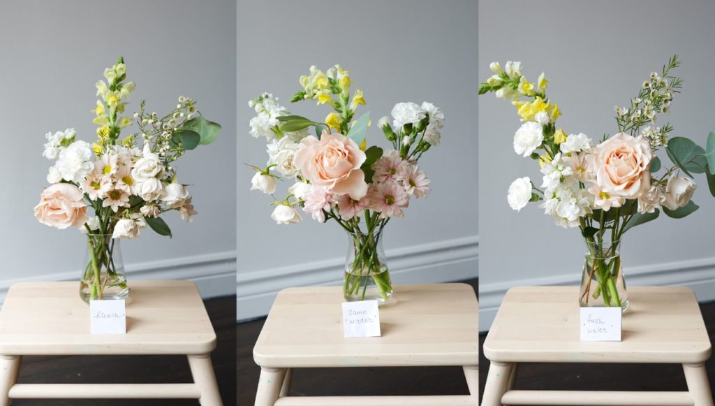 Is Flower Food Killing Your Bouquet? Western Living Magazine