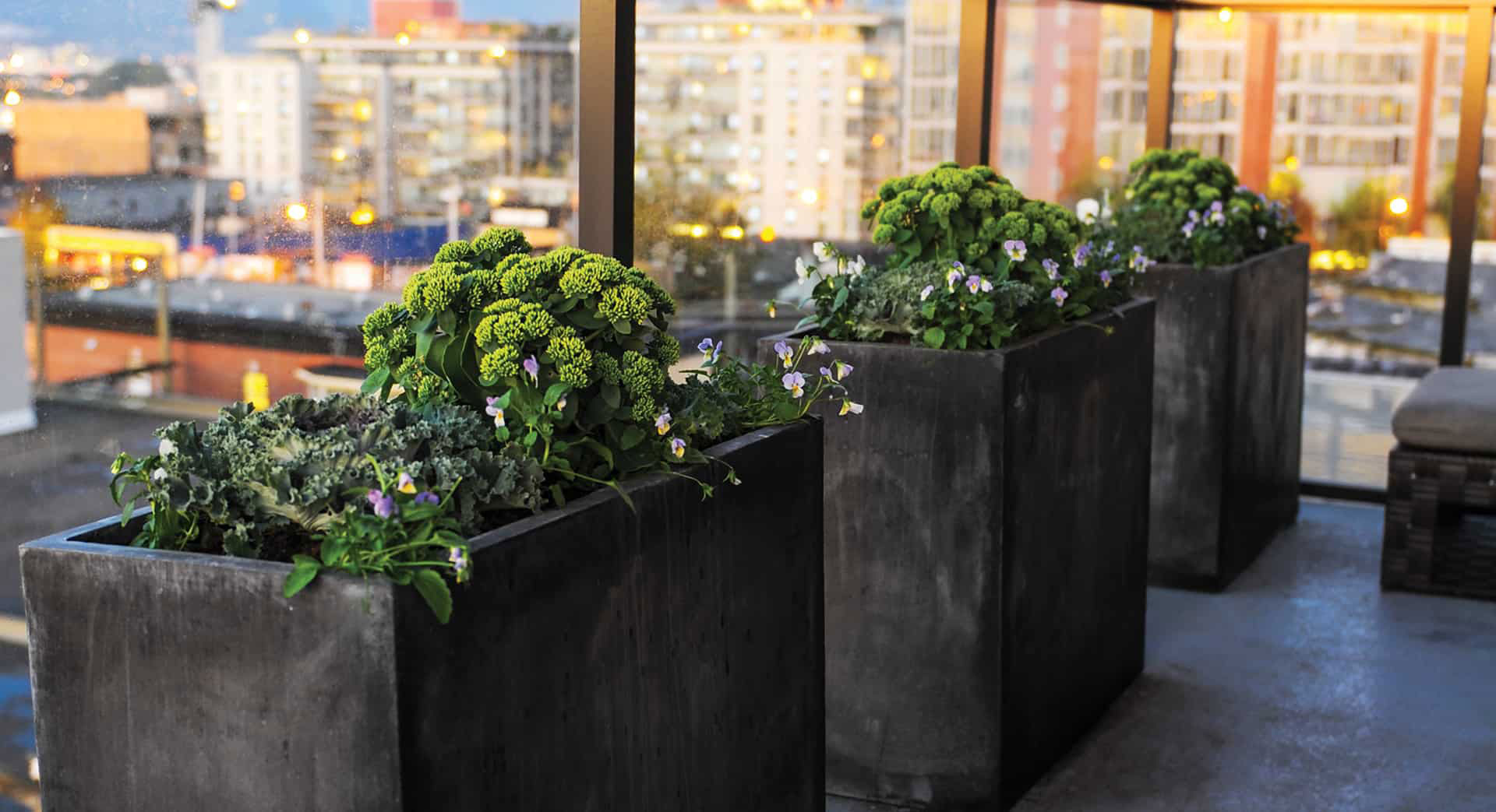 How to Create a Beautiful Balcony Garden Western Living Magazine