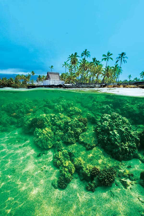 Kauai Travel Guide Western Living Magazine