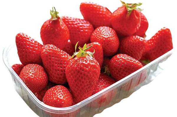 WL1013.Gariguette-strawberry