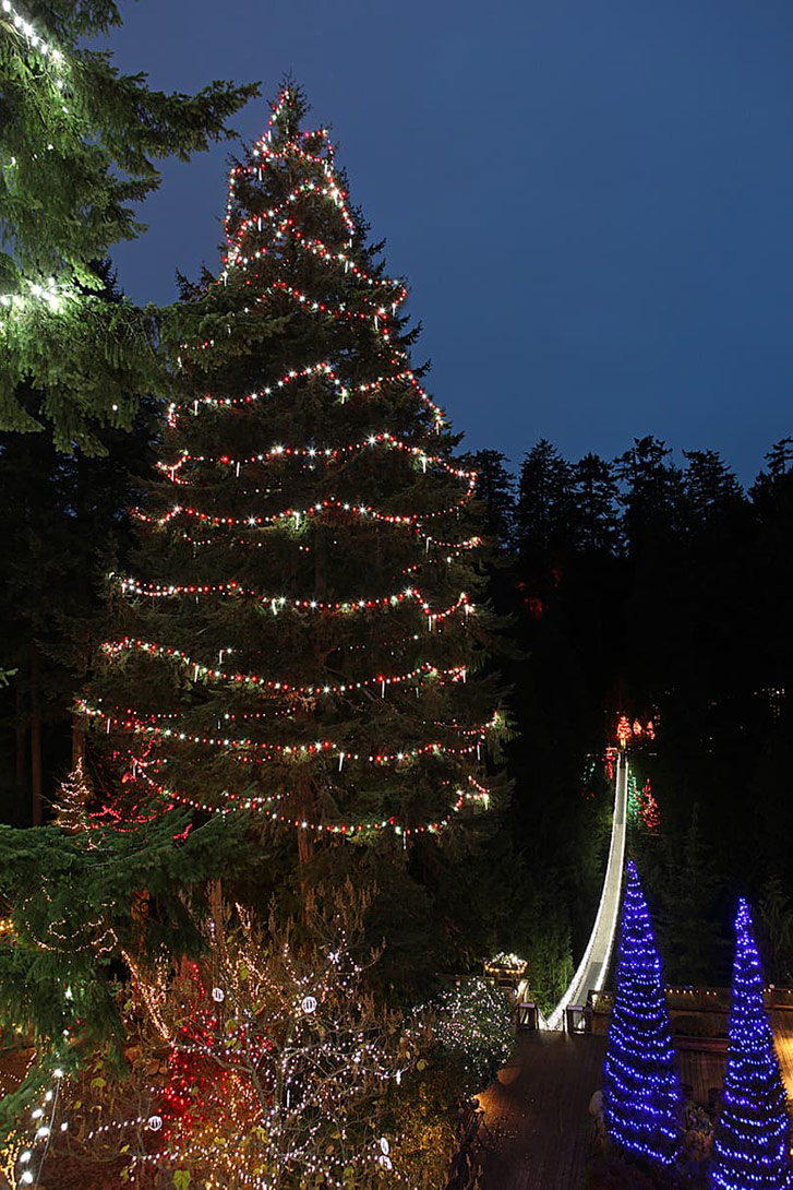 Capilano Suspension Bridge Park Christmas Tree-2