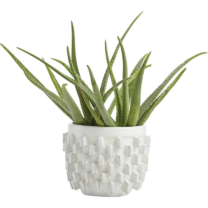 chunky-white-block-planter (2)