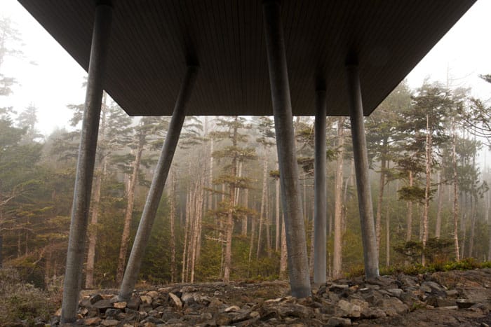 This Tofino home is perched on galvanized steel stilts, chosen to perfectly match the nearby thin silver cedar trunks. 