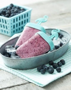BC Blueberry Popsicles