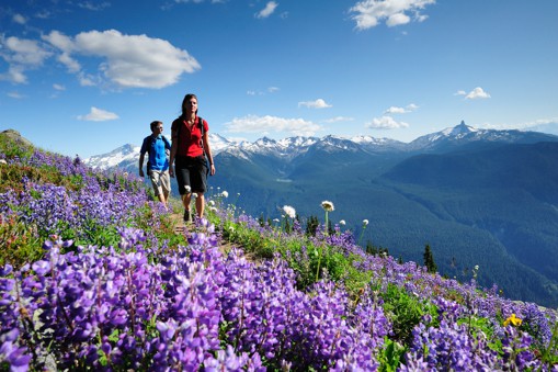 High Note Trail; photo by Steve Rogers for Tourism Whistler