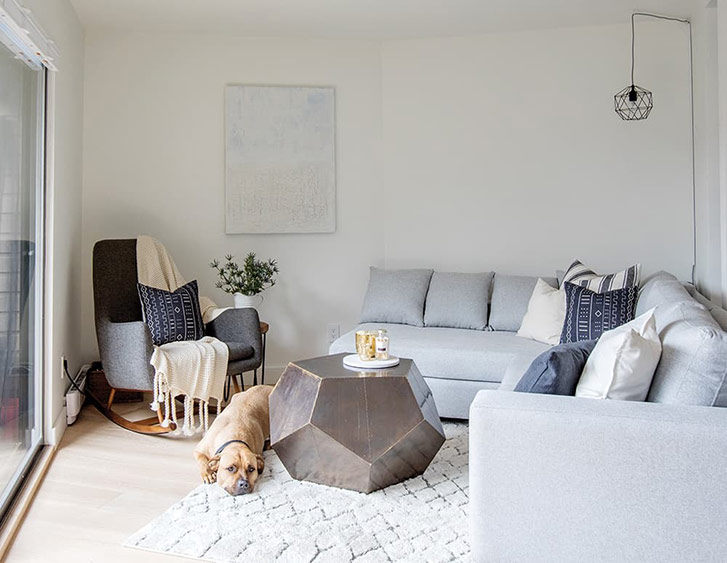 Modern Scandi-cool living room with dog